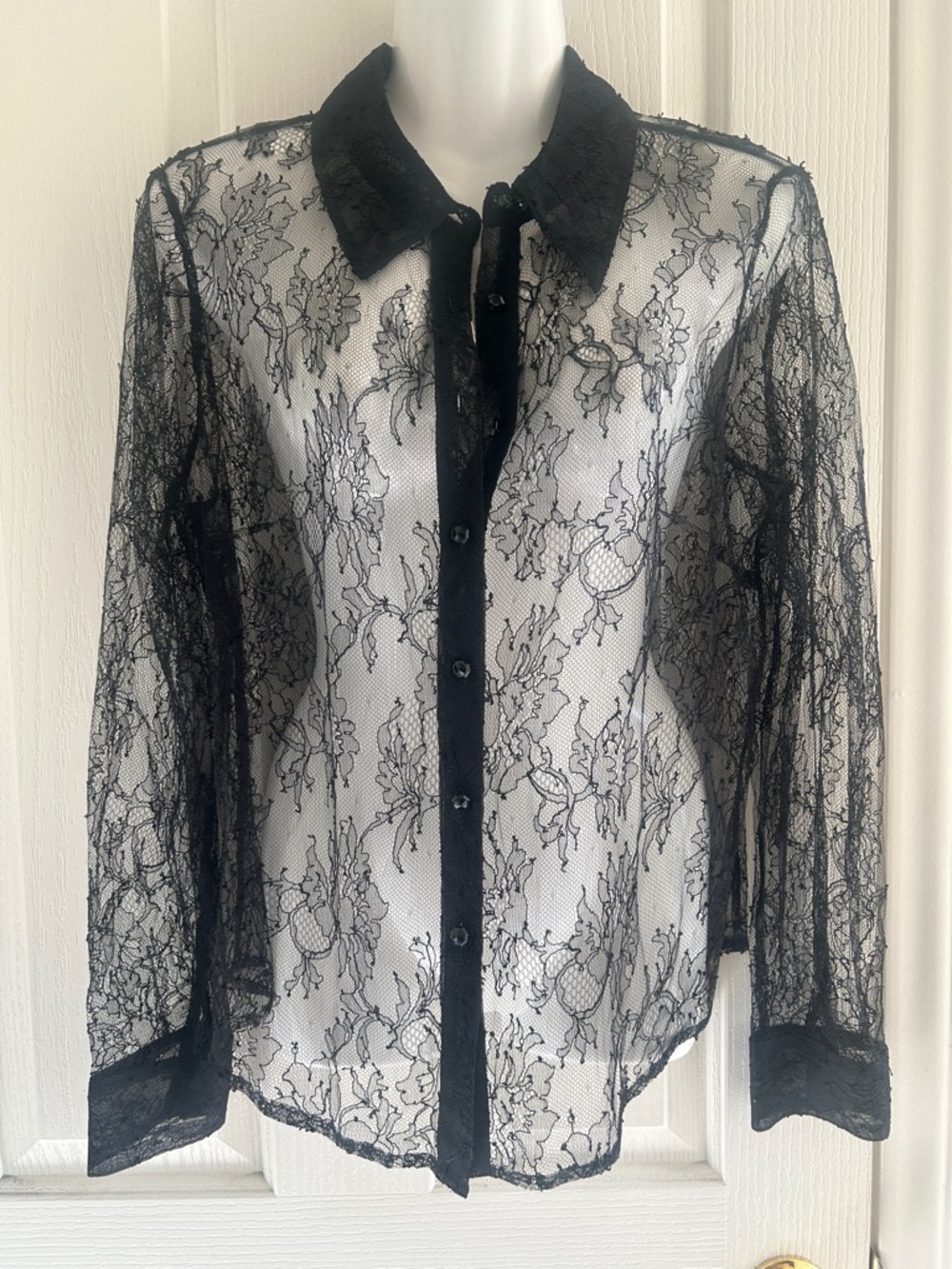Carlisle Black Sheer Lace Button-Down Blouse